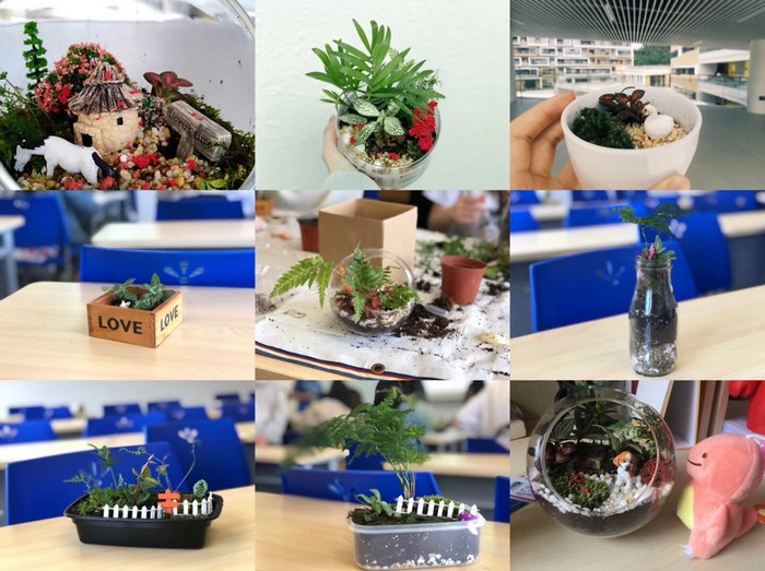 plant31