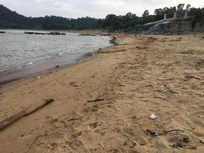 beach9