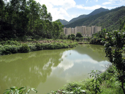 20070531-02002.jpg 20070531-02002.jpg