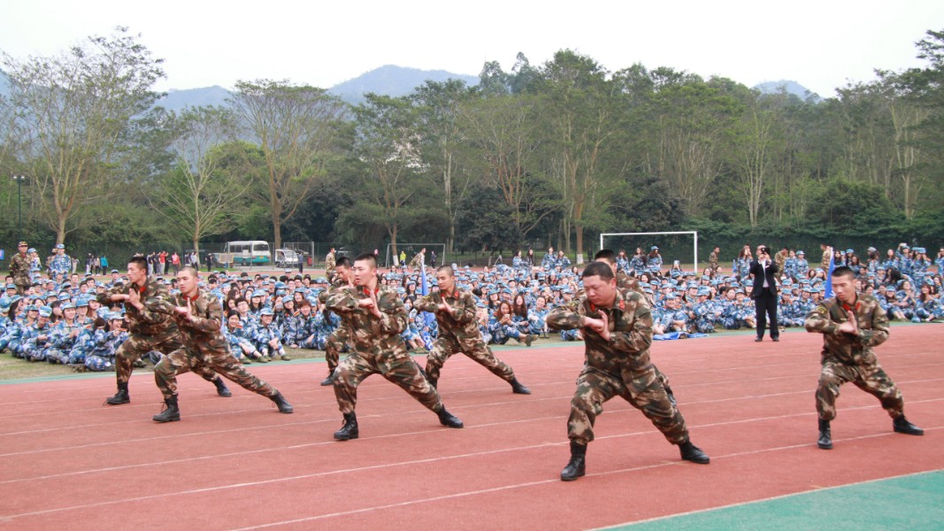 教官军体拳表演