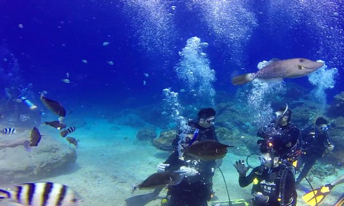 edp summer program 201407 1